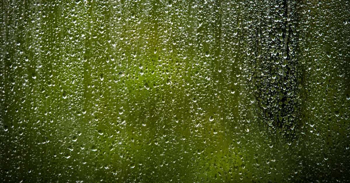 Essential Preparations for the Rainy Season &mdash; preparing your garage for the rainy season